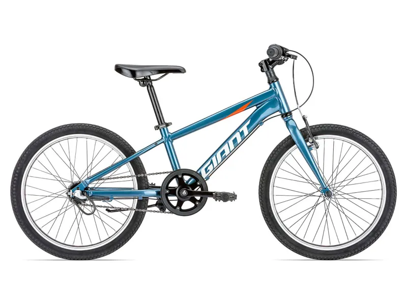 Giant boys bike discount