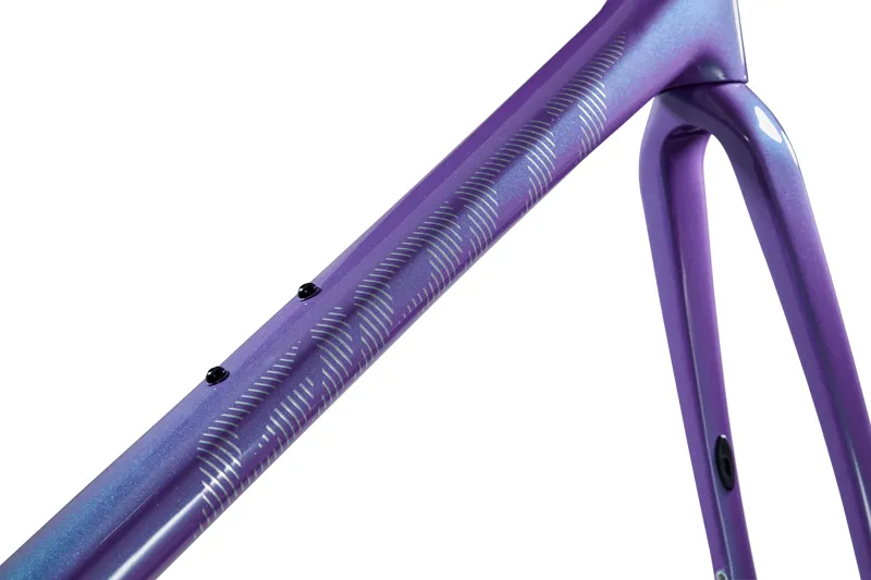 Giant TCR Advanced SL Disc Road Frame Set in Digital Blurple-5