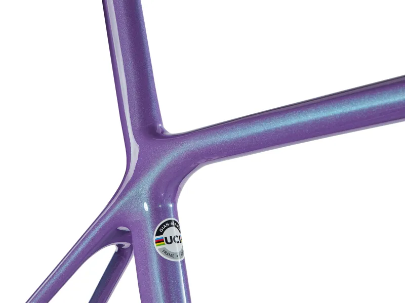 Giant TCR Advanced SL Disc Road Frame Set in Digital Blurple-6