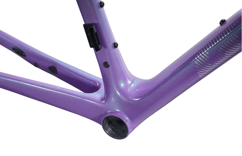 Giant TCR Advanced SL Disc Road Frame Set in Digital Blurple-4