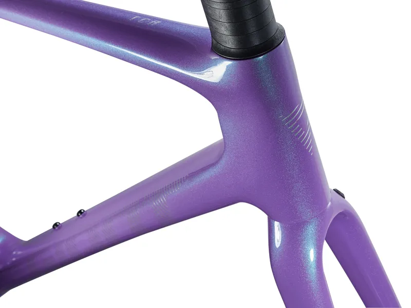 Giant TCR Advanced SL Disc Road Frame Set in Digital Blurple-3