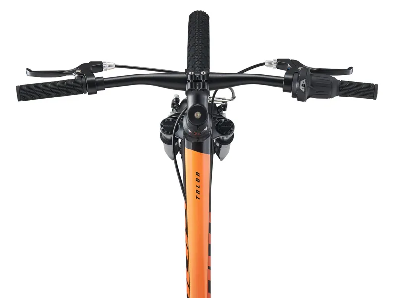 Giant Talon 24inch Kids Mountain Bike in Panther-5