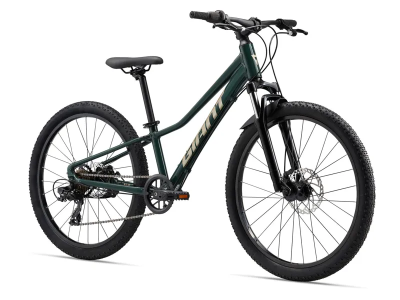 Giant Talon 24 Disc Kids Mountain Bike in Trekking Green-1