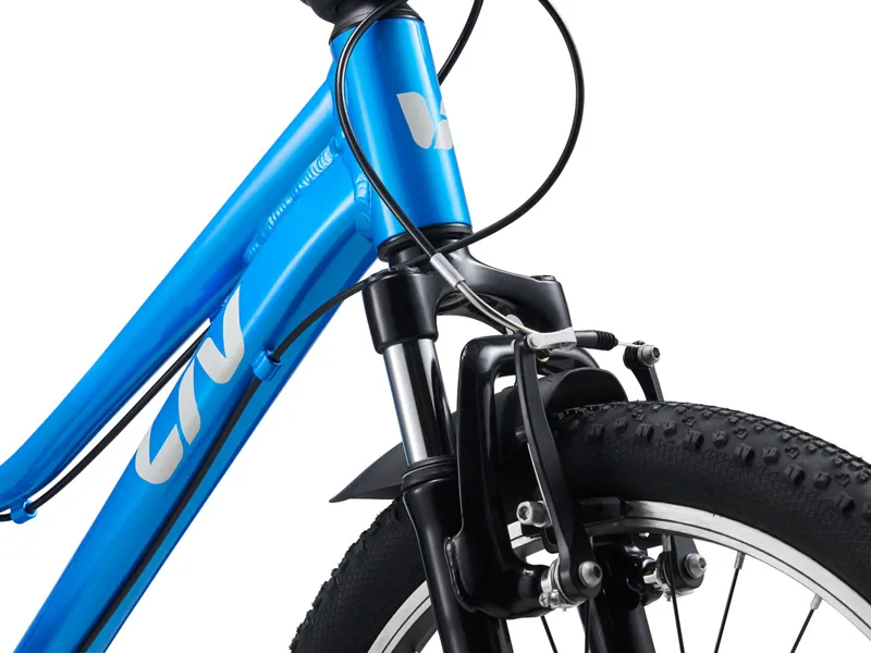 Liv Tempt 20inch Girls Aluminium Mountain Bike in AI Blue-3