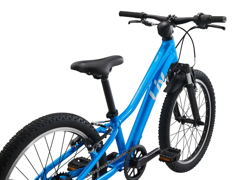 Liv Tempt 20inch Girls Aluminium Mountain Bike in AI Blue-2