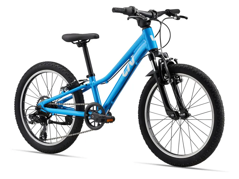 Liv Tempt 20inch Girls Aluminium Mountain Bike in AI Blue-1