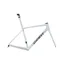 Giant TCR Advanced SL Road Bike Frameset In Opal Brushed Chrome