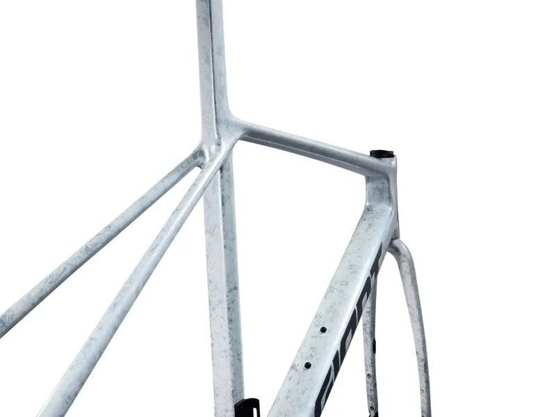 Giant TCR Advanced SL Road Bike Frameset In Opal Brushed Chrome-1