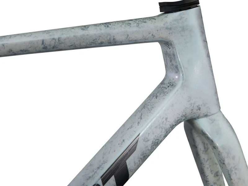 Giant TCR Advanced SL Road Bike Frameset In Opal Brushed Chrome-2