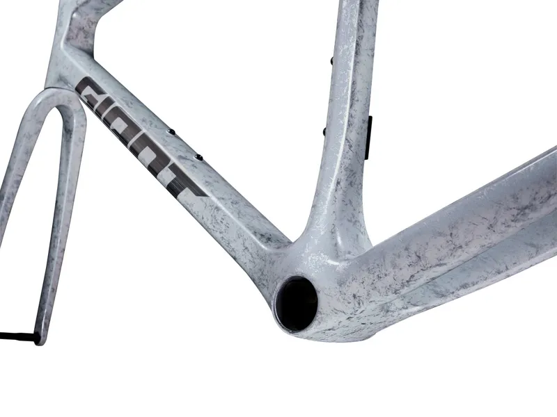 Giant TCR Advanced SL Road Bike Frameset In Opal Brushed Chrome-4