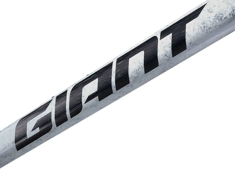 Giant TCR Advanced SL Road Bike Frameset In Opal Brushed Chrome-5