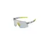 Giant Helio Sunglasses Translucent Grey Frame with Gold Fotovis lenses