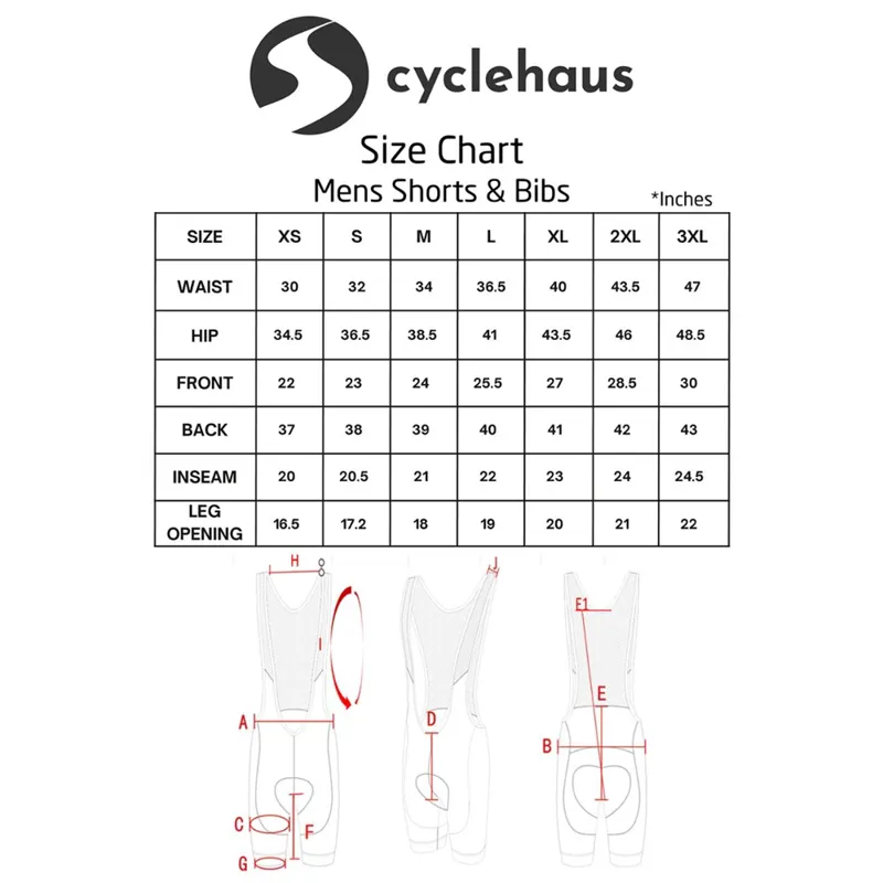 Cyclehaus Mens Cycling Shorts Padded in Black-3