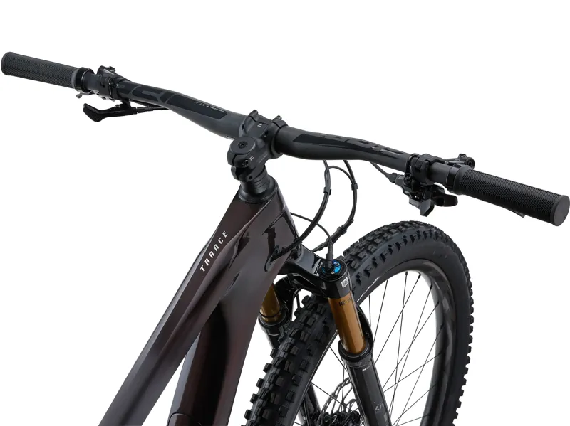 Giant Trance Advanced Pro 29 1 Mountain Bike in Cordovan-2