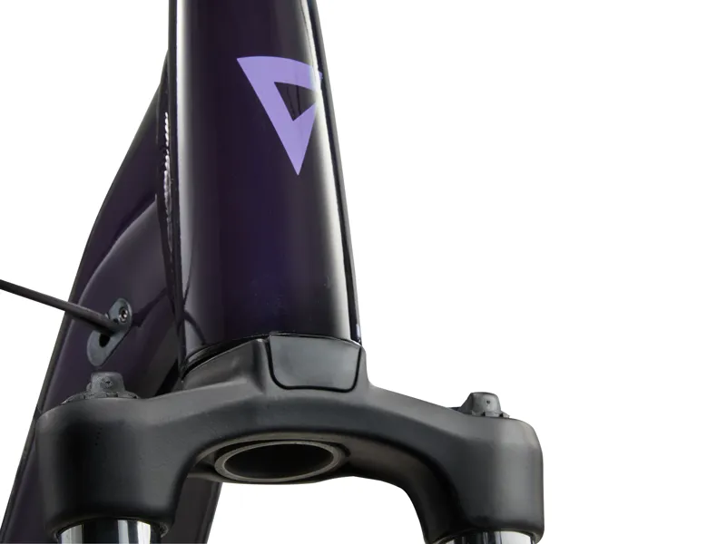 Giant Expression E+ Step-Through Electric Bike in Black Currant-5