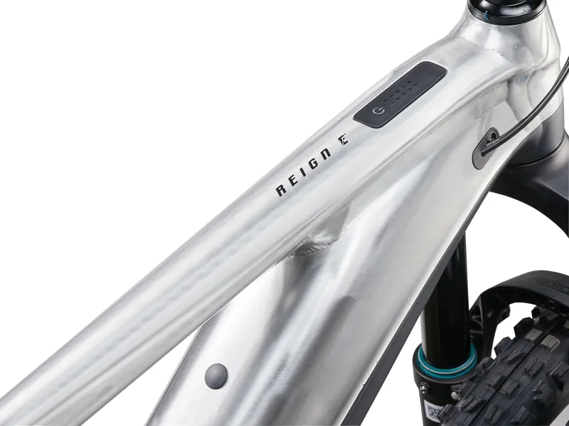 Giant Reign E+ 3 Electric Enduro Mountain Bike in Raw Aluminum-5