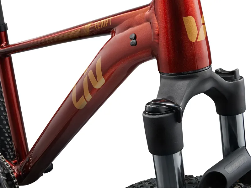 Liv Tempt 2 Womens Hardtail Mountain Bike in Mars Dust-6