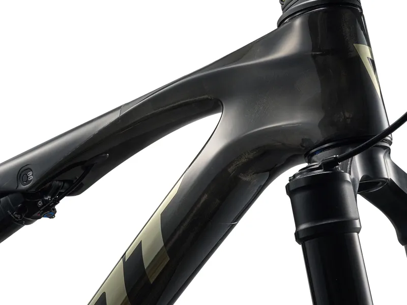 Giant Anthem Advanced SL 0 XC Race Bike in Raw Carbon-6