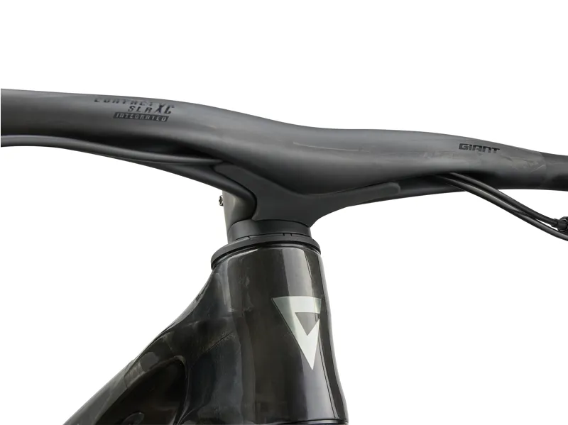 Giant Anthem Advanced SL 0 XC Race Bike in Raw Carbon-10