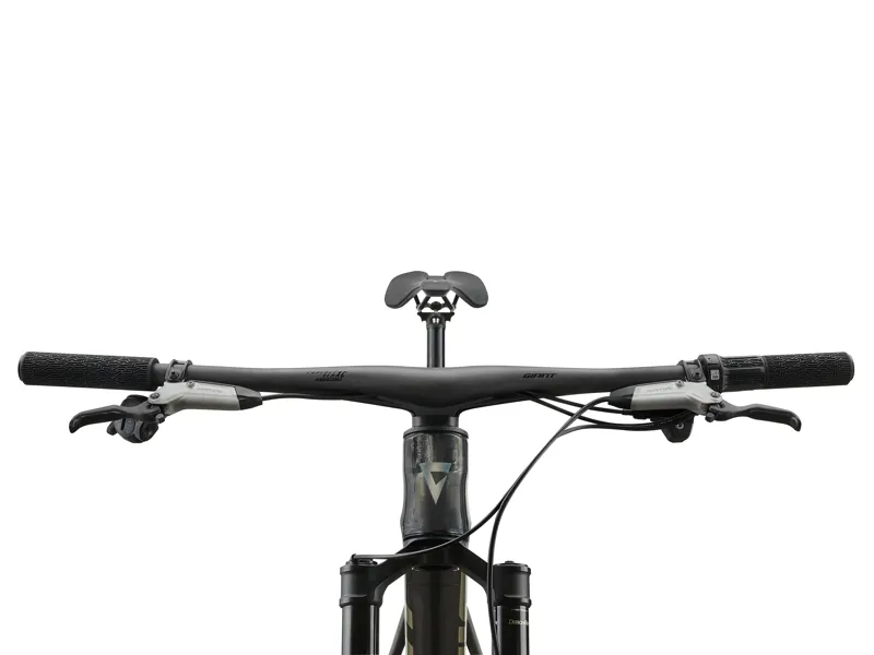 Giant Anthem Advanced SL 0 XC Race Bike in Raw Carbon-11