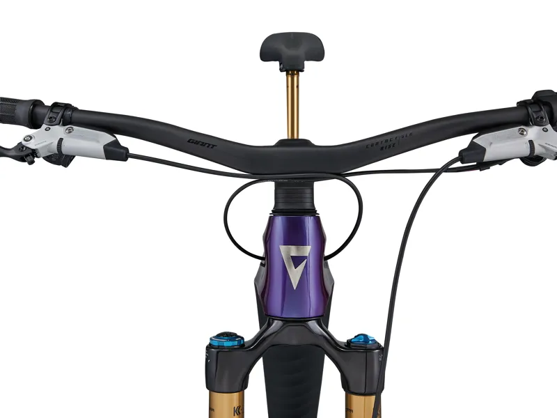 Giant Reign Advanced E+ 0 Electric Enduro Bike in Purple Haze/Metallic Navy-7