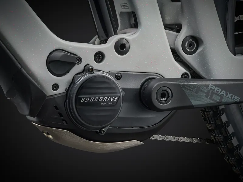 Giant Reign Advanced E+ 2 Electric Enduro Bike in Moon Dust-6