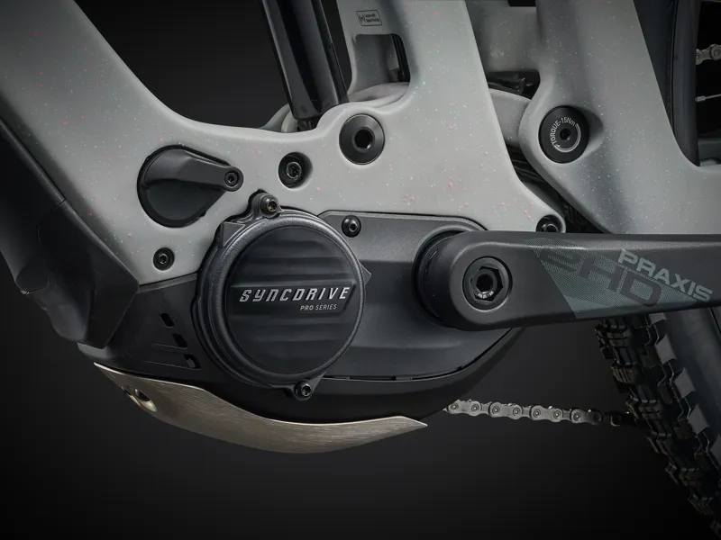 Giant Reign Advanced E+ 2 Electric Enduro Bike in Moon Dust-11