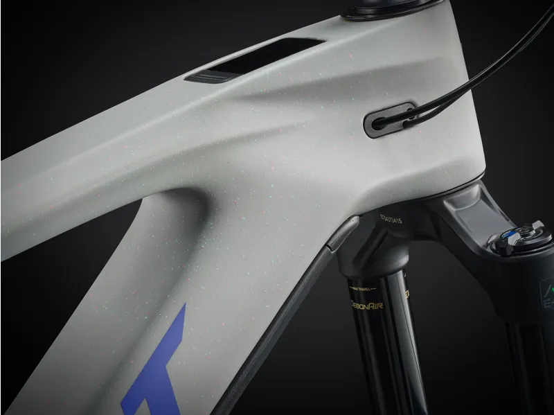 Giant Reign Advanced E+ 2 Electric Enduro Bike in Moon Dust-9