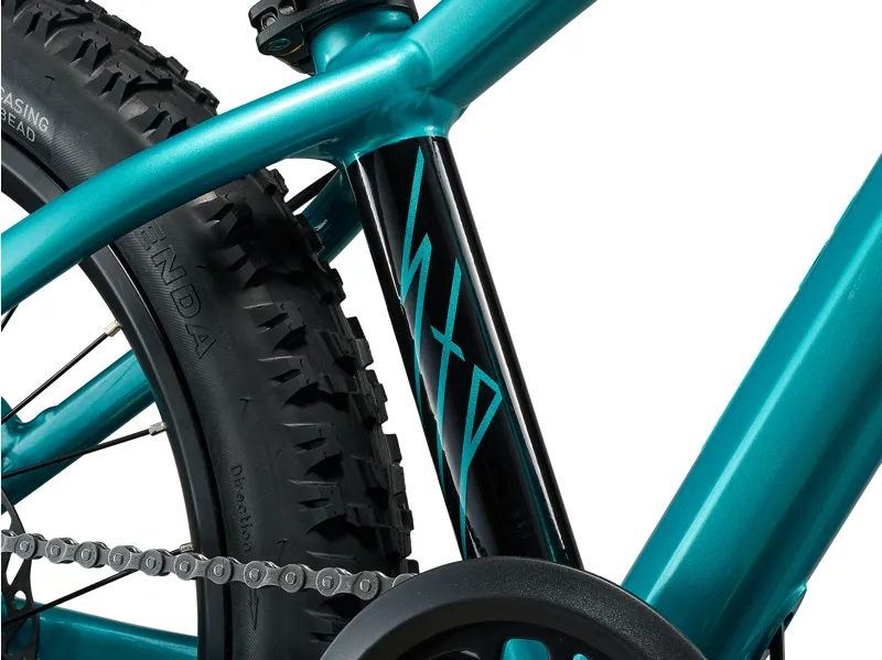 Giant STP 20 Kid's Mountain Bike in Teal-1