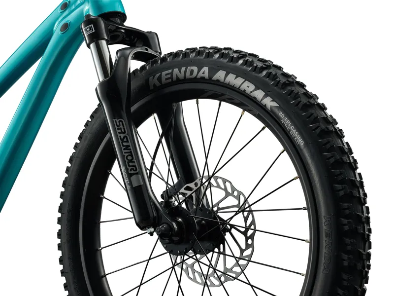 Giant STP 20 Kid's Mountain Bike in Teal-2