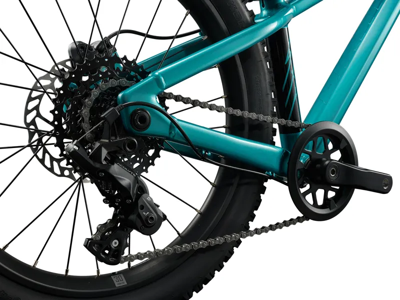 Giant STP 20 Kid's Mountain Bike in Teal-4