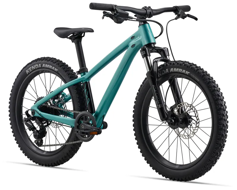 Giant STP 20 Kid's Mountain Bike in Teal-7