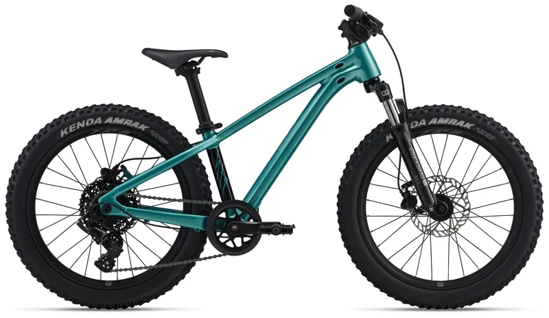 Giant STP 20 Kid's Mountain Bike in Teal