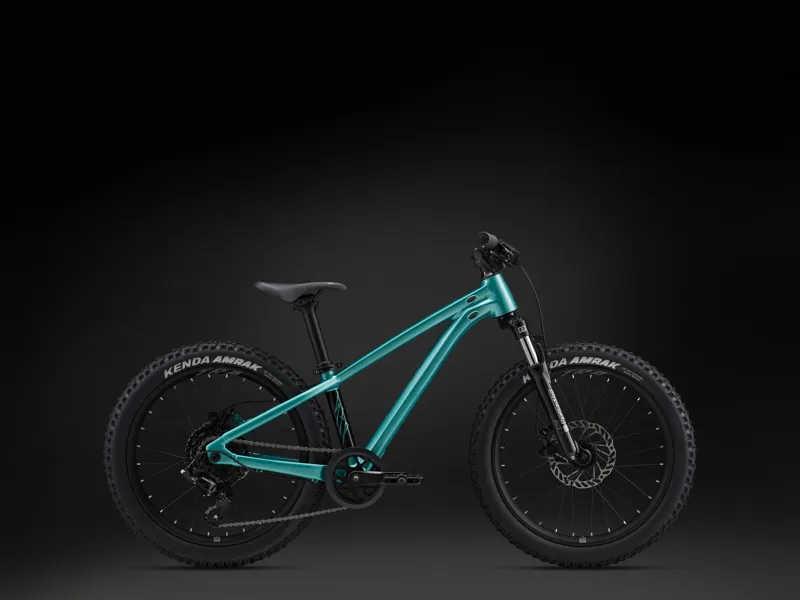 Giant STP 20 Kid's Mountain Bike in Teal-8