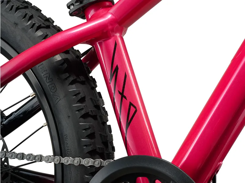 Liv STP 20 Kid's Mountain Bike in Hot Pink-2