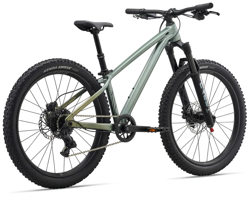 Liv STP 24 Kid's Mountain Bike in Alpine Green-2