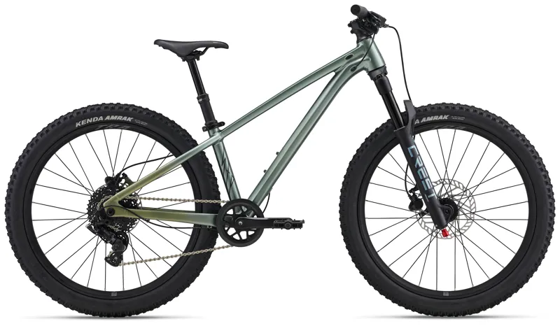 Liv STP 24 Kid's Mountain Bike in Alpine Green-1