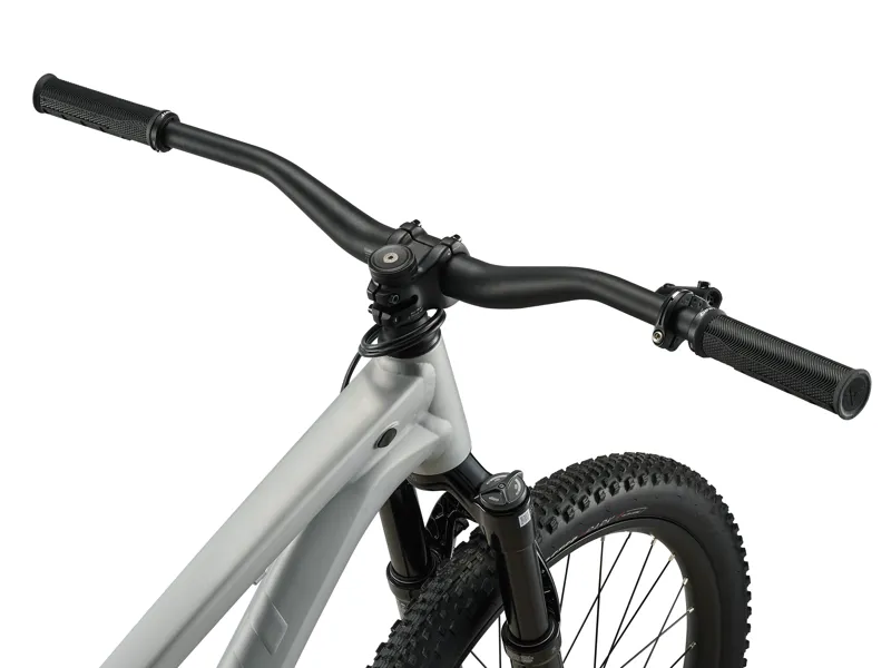 Giant STP 26 Dirt Jump Mountain Bike in Quicksilver-6