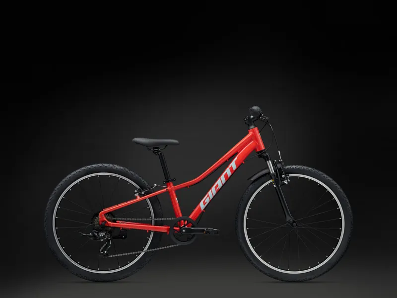 Giant Talon 24 Kids Mountain Bike in Valencia-1