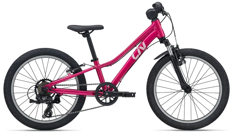 Tempt 20 Girls Mountain Bike in Virtual Pink