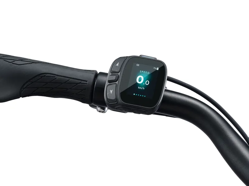 Giant NewTour E+ 3 Step Through Ebike in Kelp Forest-7