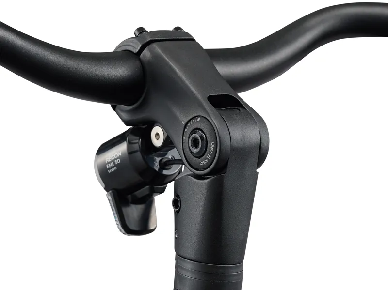 Giant NewTour E+ 3 Step Through Ebike in Kelp Forest-11