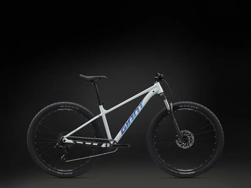 Giant Talon 29 2 Mens Aluminium Hardtail Mountain Bike in Icicle White-2