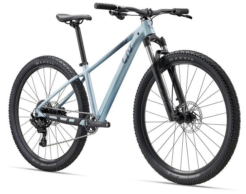 Liv Tempt 29 2 Womens Aluminium Hardtail Mountain Bike in Cryo Silver-1