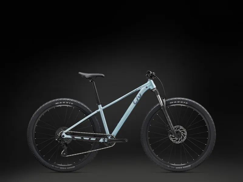 Liv Tempt 29 2 Womens Aluminium Hardtail Mountain Bike in Cryo Silver-3