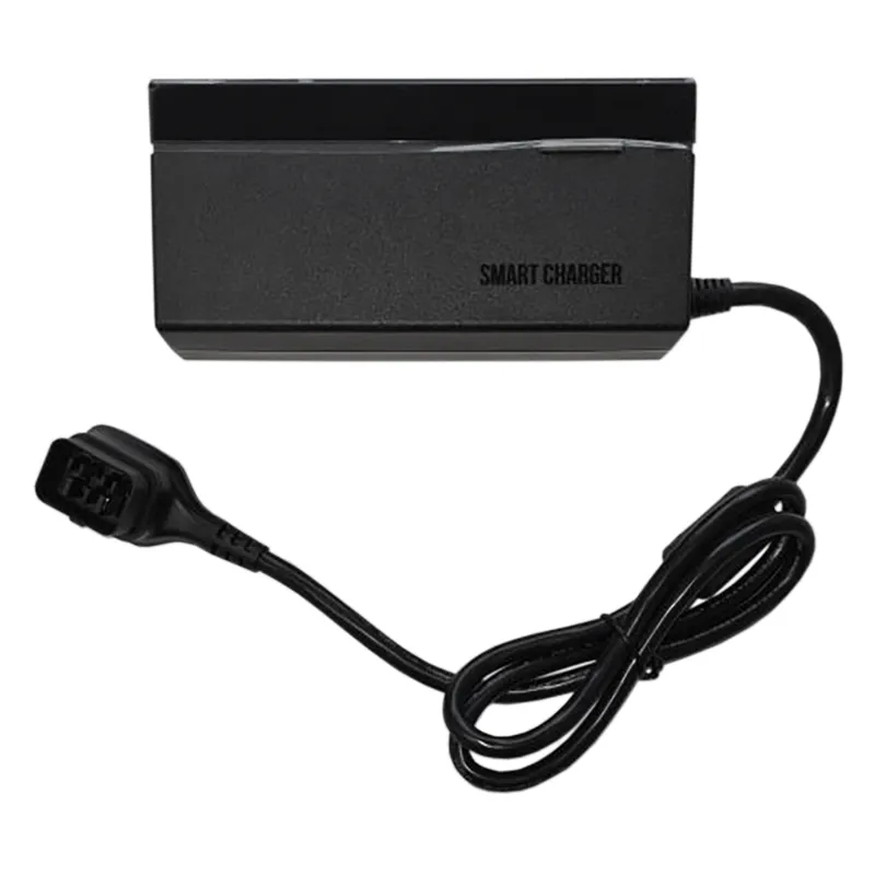 Giant E-Bike Smart charger 4A 42v to suit Expression E+