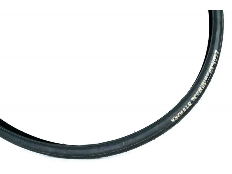 Compass Mojo 700x25c Wire Bead 3mm Green Shield-1