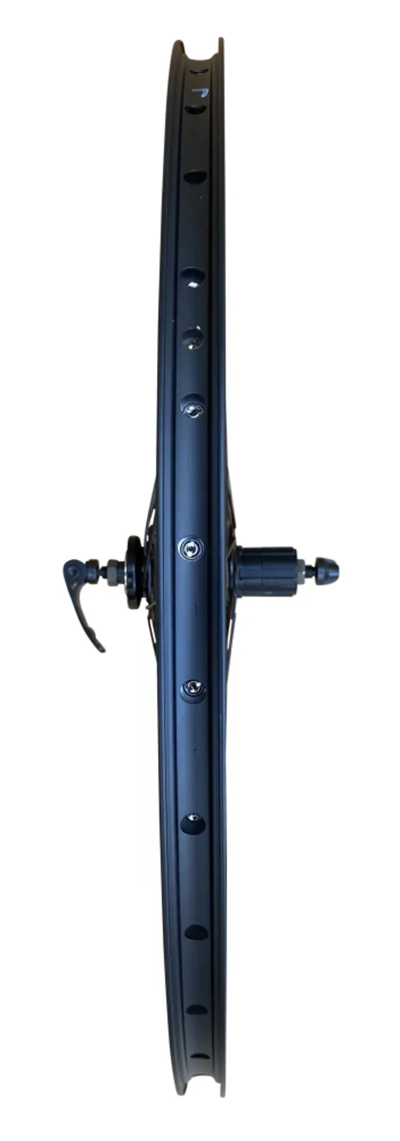 Cycleon Wheel 29 Inch Rear 6 Bolt Disc Alloy 8-11spd Double Wall in Black-1